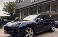 Cayenne Azul 2025 - Porsche - São Paulo cód.39901
