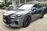 RX 500 Cinza 2024 - Lexus - São Paulo cód.39736