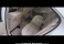 GLA 250 Branco 2017 - Mercedes-Benz - São Bernardo do Campo cód.39248