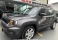 Renegade Cinza 2023 - Jeep - São Paulo cód.39787