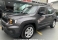 Renegade Cinza 2023 - Jeep - São Paulo cód.39787